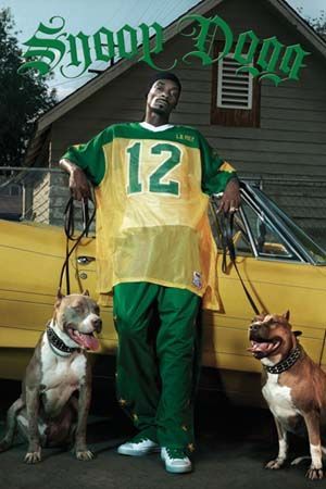 pp3228-snoop-dogg.jpg